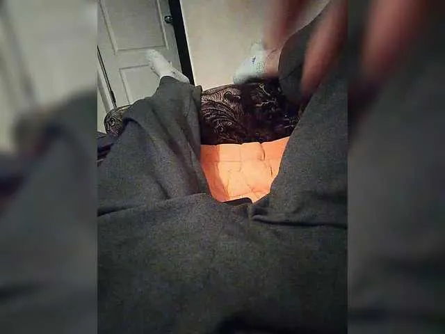 Live sex webcam photo for mister88777 #292422880