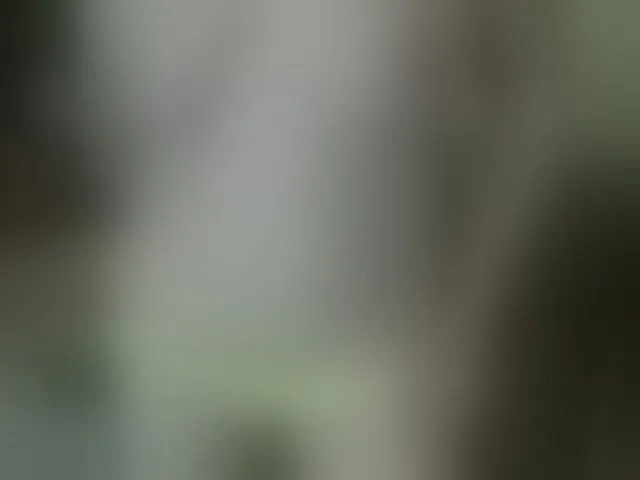 Live sex webcam photo for modelf #292763515