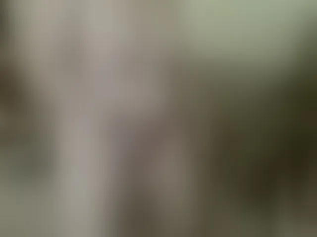 Live sex webcam photo for modelf #293241021