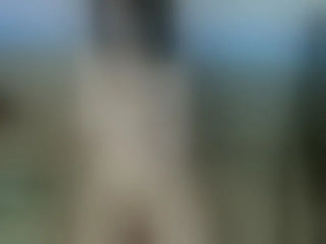 Live sex webcam photo for modelf #293305689