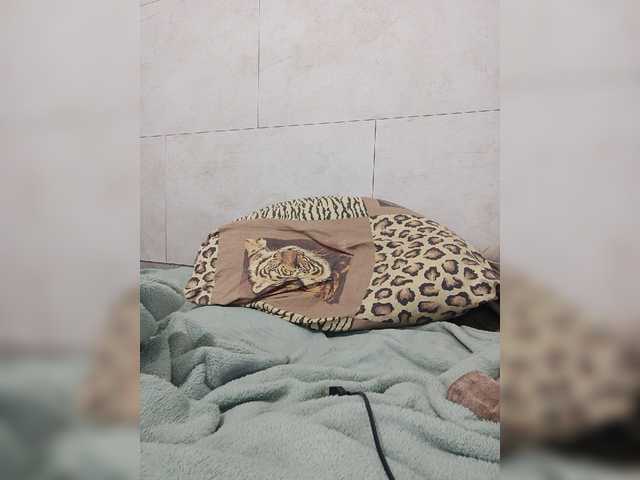 Live sex webcam photo for morozka291 #276744739