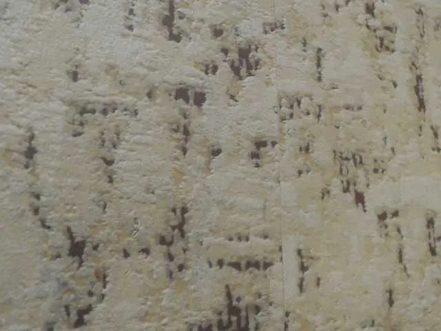 Live sex webcam photo for moxxito #290415285