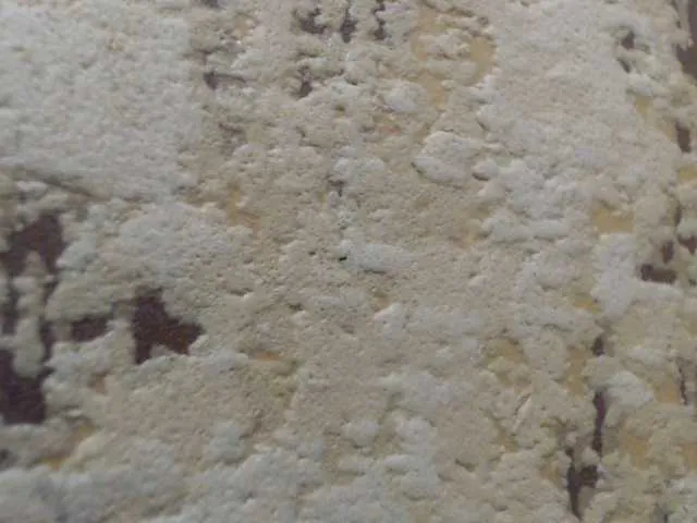 Live sex webcam photo for moxxito #290765413