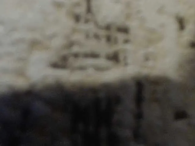 Live sex webcam photo for moxxito #291112317