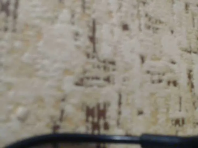 Live sex webcam photo for moxxito #291325417