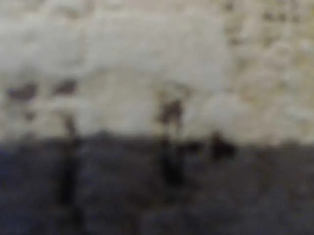 Live sex webcam photo for moxxito #291514042