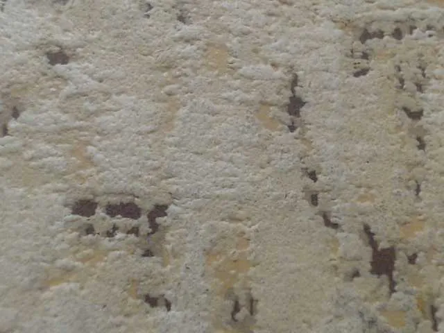 Live sex webcam photo for moxxito #291843658