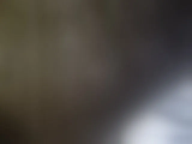 Live sex webcam photo for moxxito #293093161