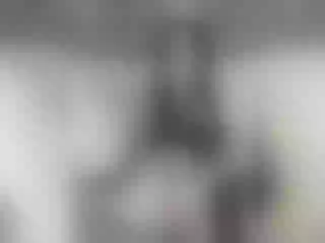 Live sex webcam photo for multixnxx #272173917