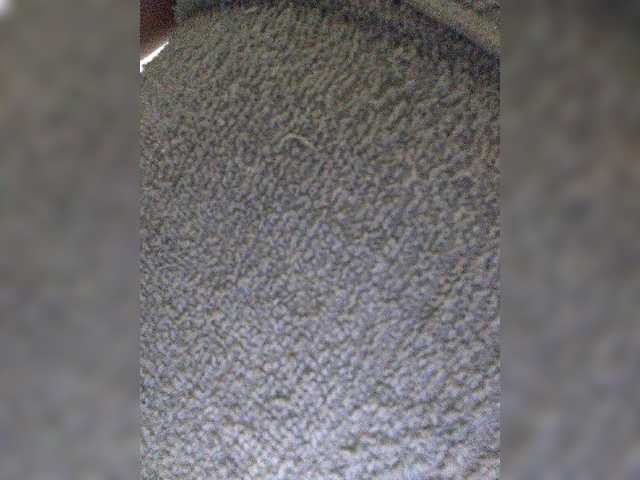 Live sex webcam photo for muztang2022 #272452706