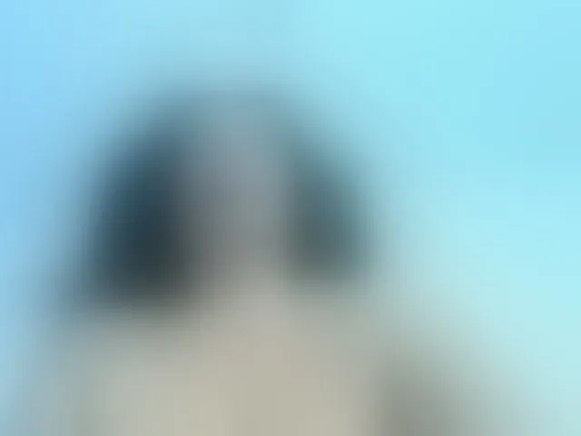 Live sex webcam photo for nadiaSamiri #293512075