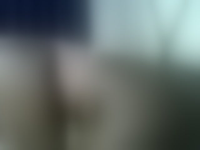 Live sex webcam photo for nastycee254 #293884225