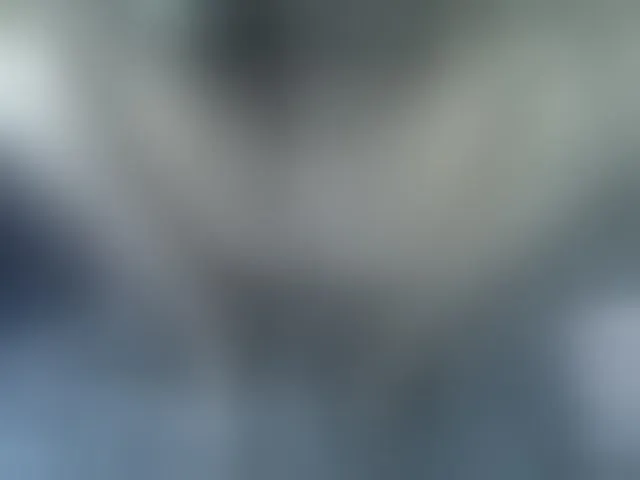 Live sex webcam photo for nastycee254 #293961984