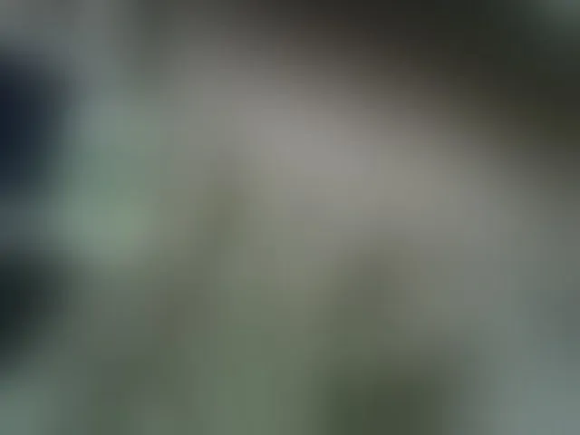 Live sex webcam photo for nastycee254 #294000079