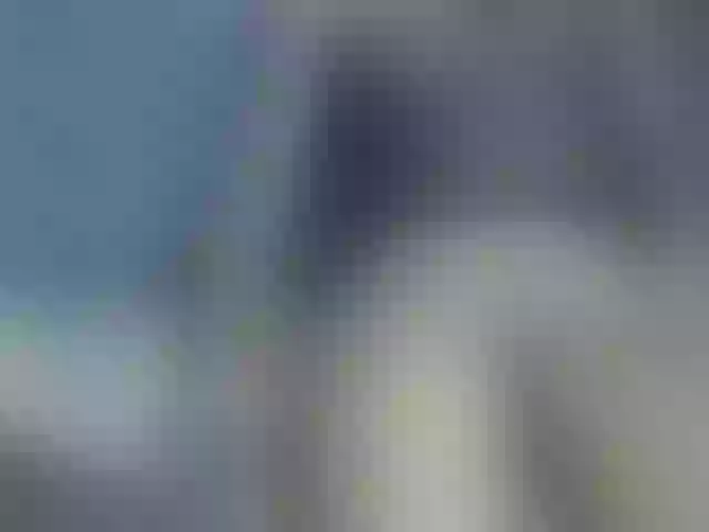 Live sex webcam photo for nastymelani #290834154