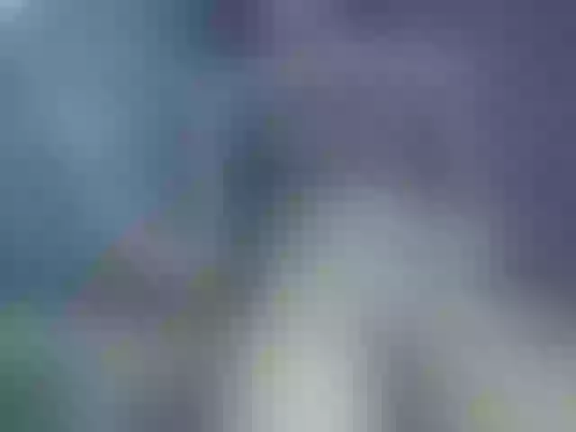 Live sex webcam photo for nastymelani #290859224