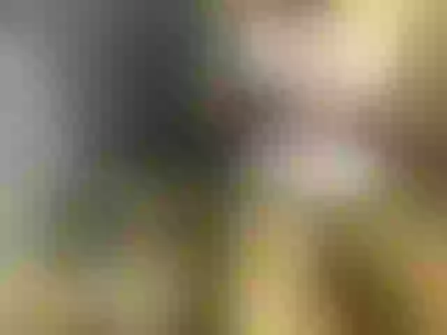 Live sex webcam photo for nastymelani #291075437