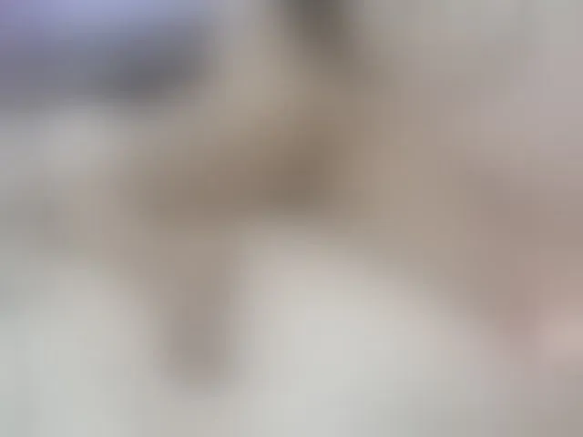 Live sex webcam photo for nathysmithx #292534063