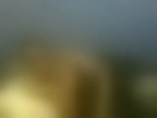 Live sex webcam photo for naughty-slender #293634842