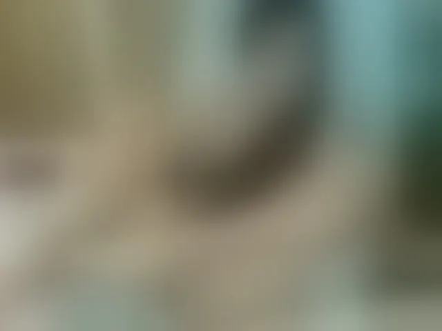 Live sex webcam photo for neereaa #293724568