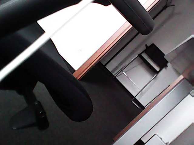 Live sex webcam photo for nemamflek #274031906