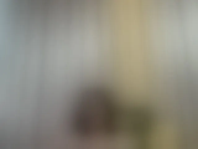 Live sex webcam photo for nemayhottits #293452401