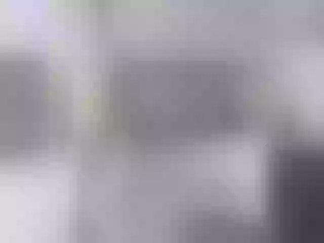 Live sex webcam photo for neonguy #283189242