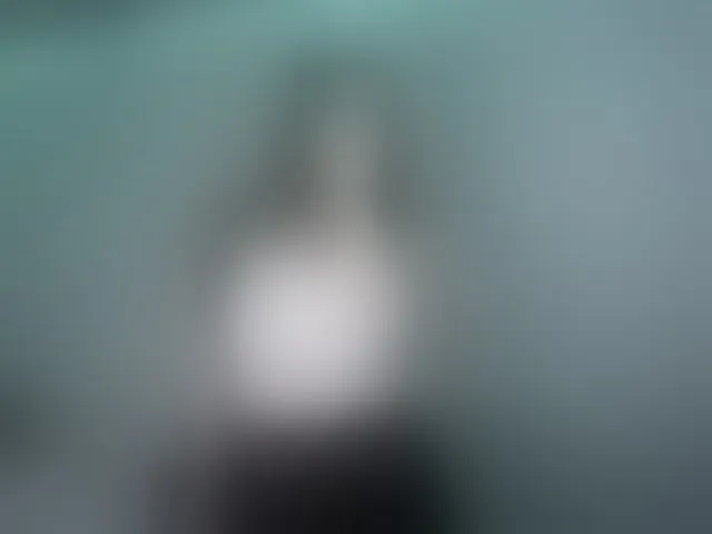 Live sex webcam photo for nessy-messy #293904769
