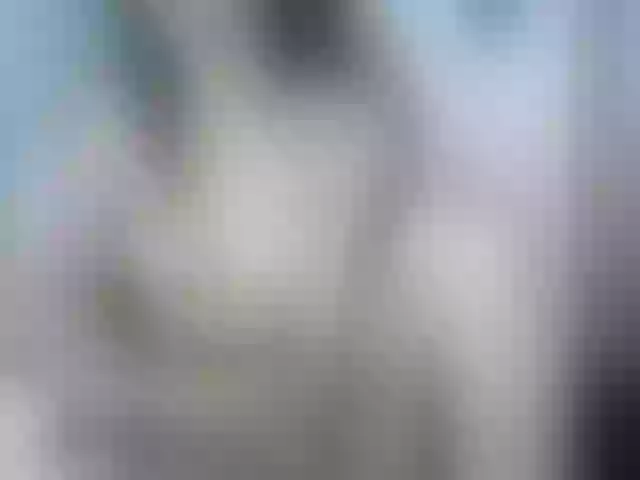 Live sex webcam photo for nicky-smith #277490844