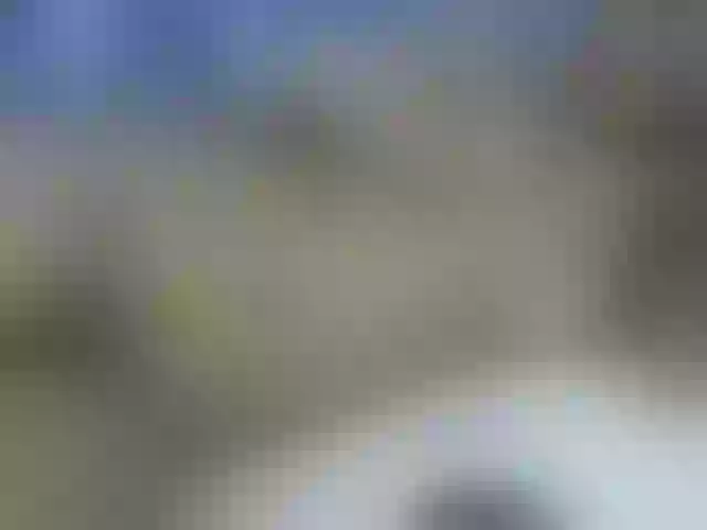Live sex webcam photo for nigerian254 #271929883
