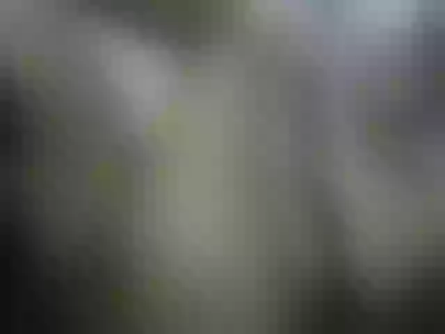 Live sex webcam photo for nigerian254 #272007864