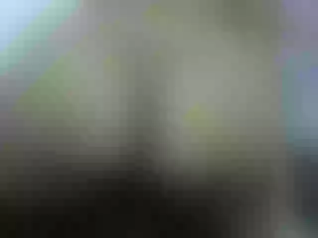 Live sex webcam photo for nigerian254 #272149470
