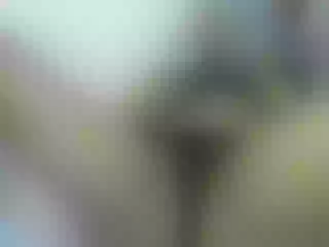 Live sex webcam photo for nigerian254 #272457147