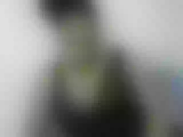 Live sex webcam photo for nigerian254 #272467225