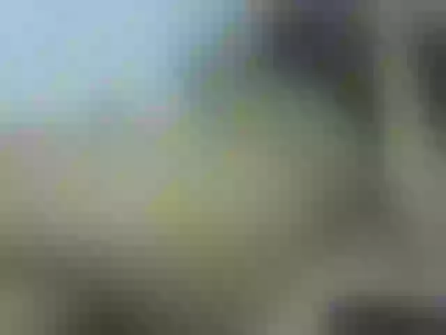 Live sex webcam photo for nigerian254 #272649639