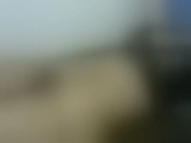 Live sex webcam photo for nigerian254 #272810994