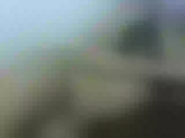 Live sex webcam photo for nigerian254 #272837719