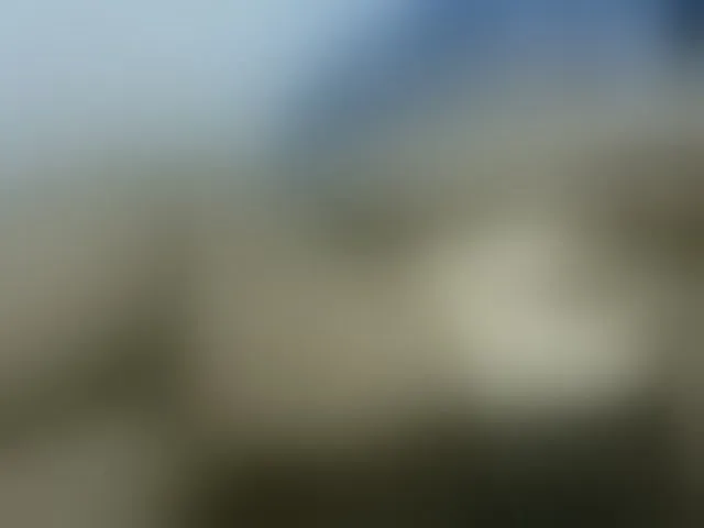 Live sex webcam photo for nigerian254 #272846627