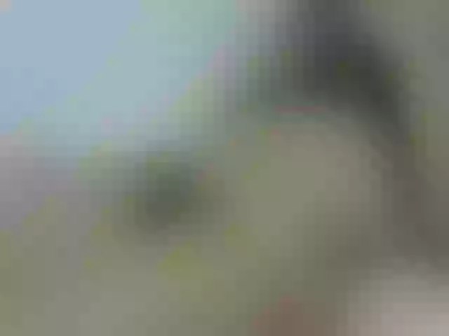 Live sex webcam photo for nigerian254 #272898630