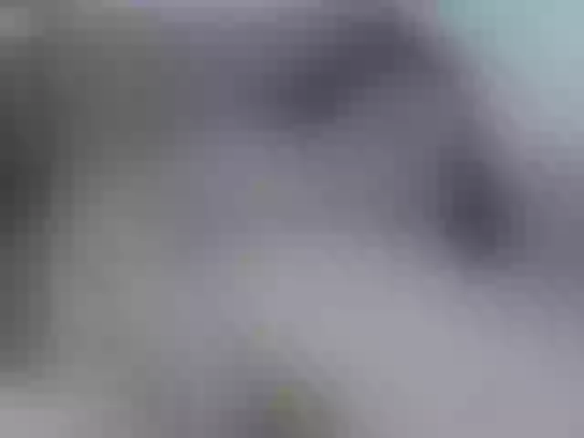 Live sex webcam photo for nikiluch #275537649