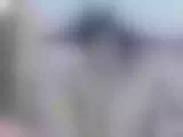 Live sex webcam photo for nikiluch #275555885