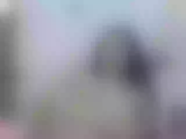 Live sex webcam photo for nikiluch #275609231