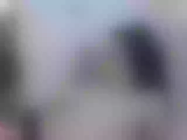 Live sex webcam photo for nikiluch #275635324