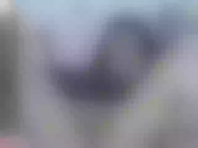 Live sex webcam photo for nikiluch #275694870