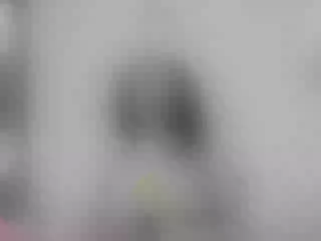 Live sex webcam photo for nikiluch #276172991