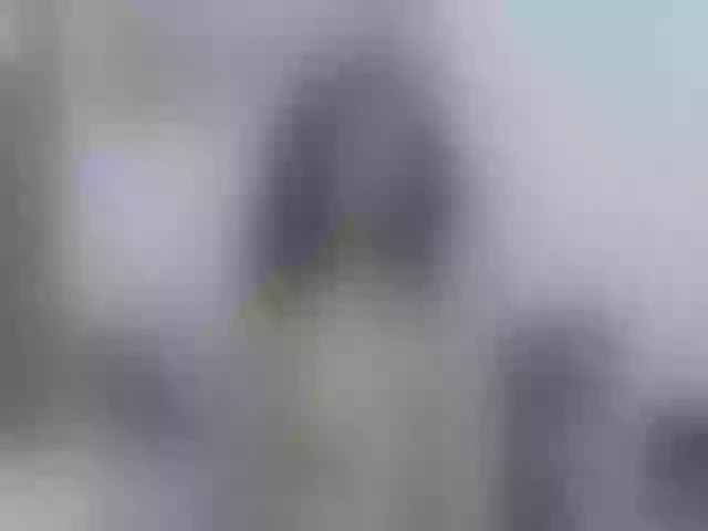 Live sex webcam photo for nikiluch #276193382