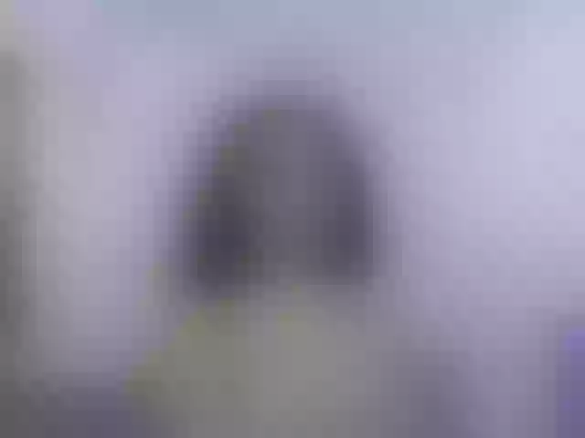 Live sex webcam photo for nikiluch #276632539