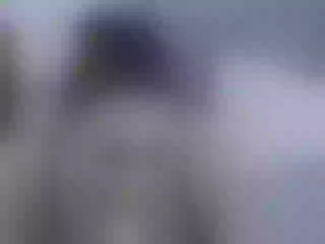 Live sex webcam photo for nikiluch #276738599