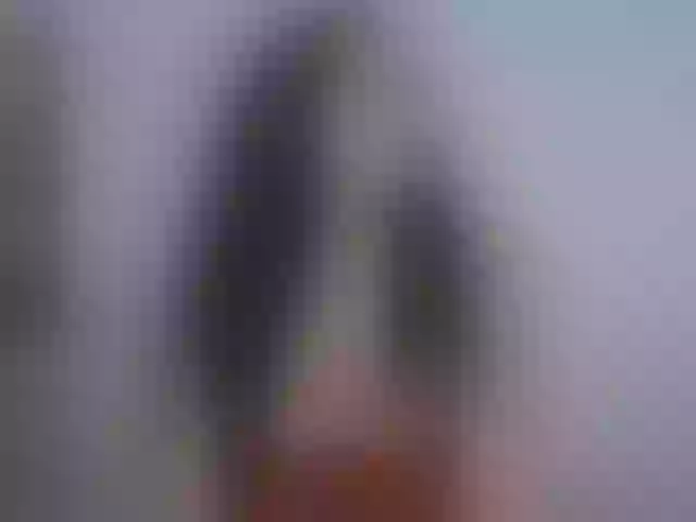 Live sex webcam photo for nikiluch #277138280