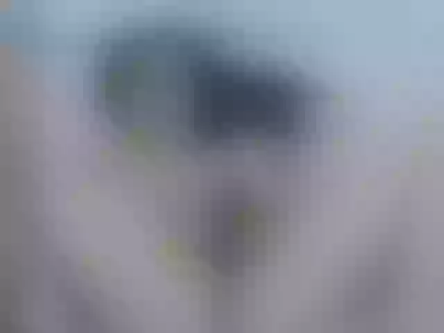 Live sex webcam photo for nikiluch #277373124